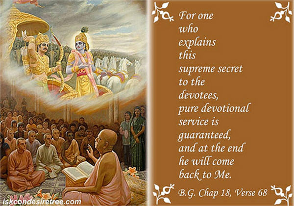 Los Angeles SD Newsletter VOL. 4, ISSUE 8