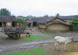 The joy of Book Distribution