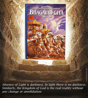 The Never Ending Book Buyer