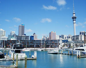 South Auckland (New Zealand)