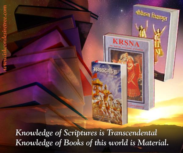 The Nectar for which We Are Always Anxious