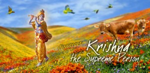 Krishna The Supreme Person