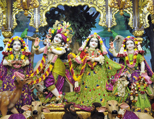 Sri Sri Radha Gopinath